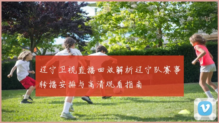辽宁卫视直播回放解析辽宁队赛事转播安排与高清观看指南