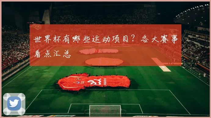 世界杯有哪些运动项目?各大赛事看点汇总