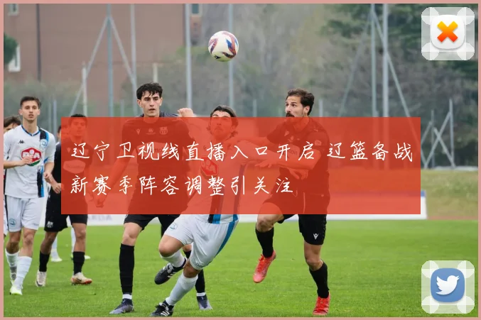辽宁卫视线直播入口开启 辽篮备战新赛季阵容调整引关注