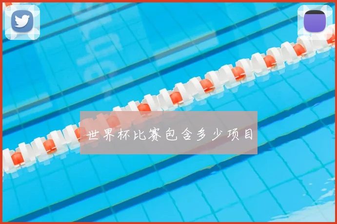 世界杯比赛包含多少项目