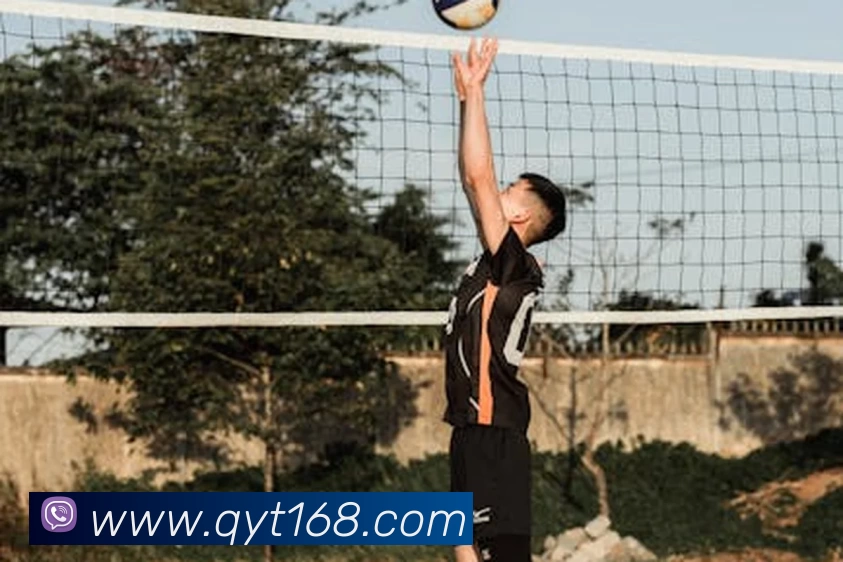 欧宝网页版登录入口 - 欧宝(中国)平台生态图